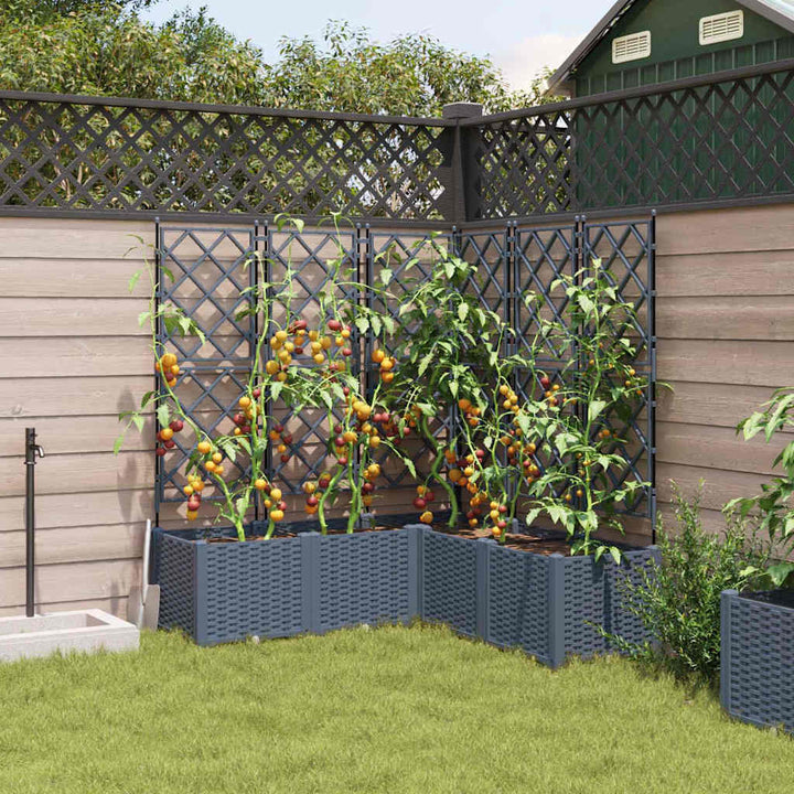 Have Blomsterkrukke 5 pcs Lys Grå 120 x 120 x 143 cm Plastik