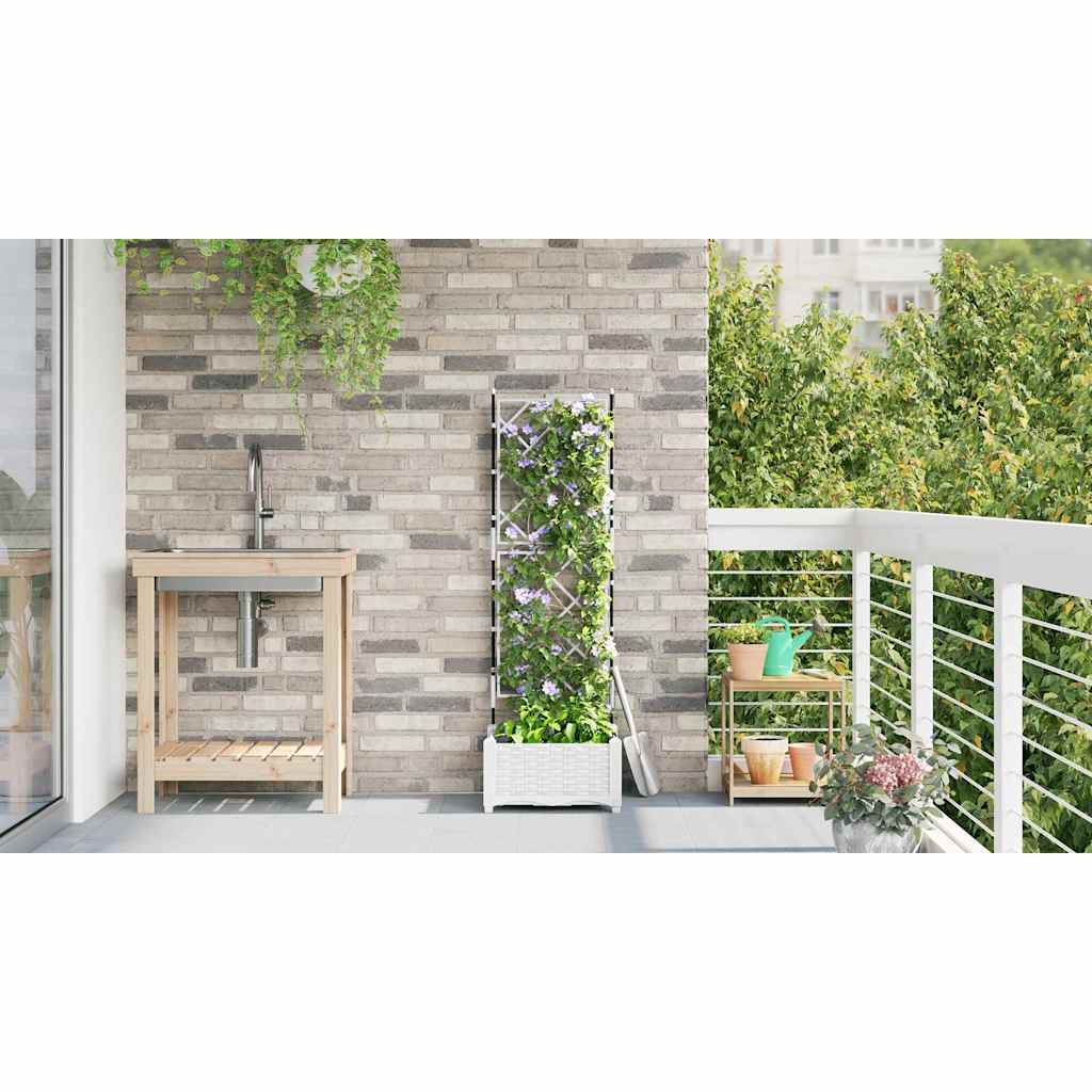 Have Blomsterkrukke Hvid 40 x 40 x 125,5 cm PP