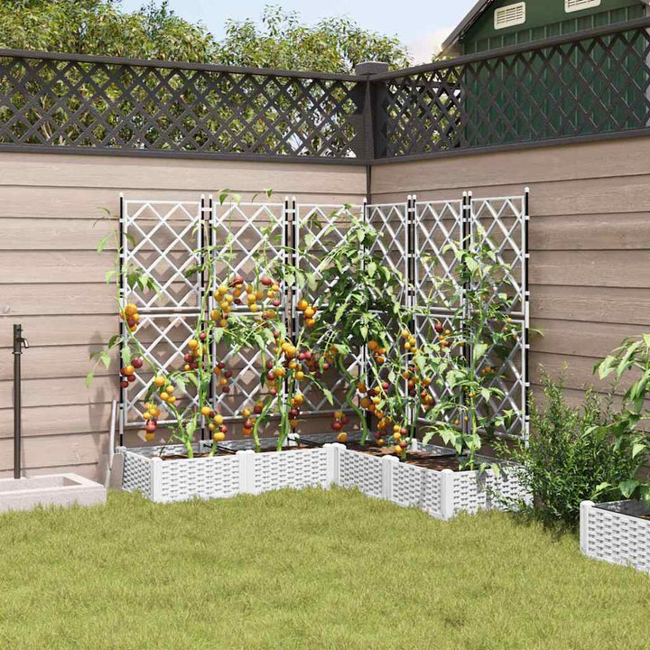 Have Blomsterkrukke 5 stk. Hvid 120 x 120 x 125,5 cm PP