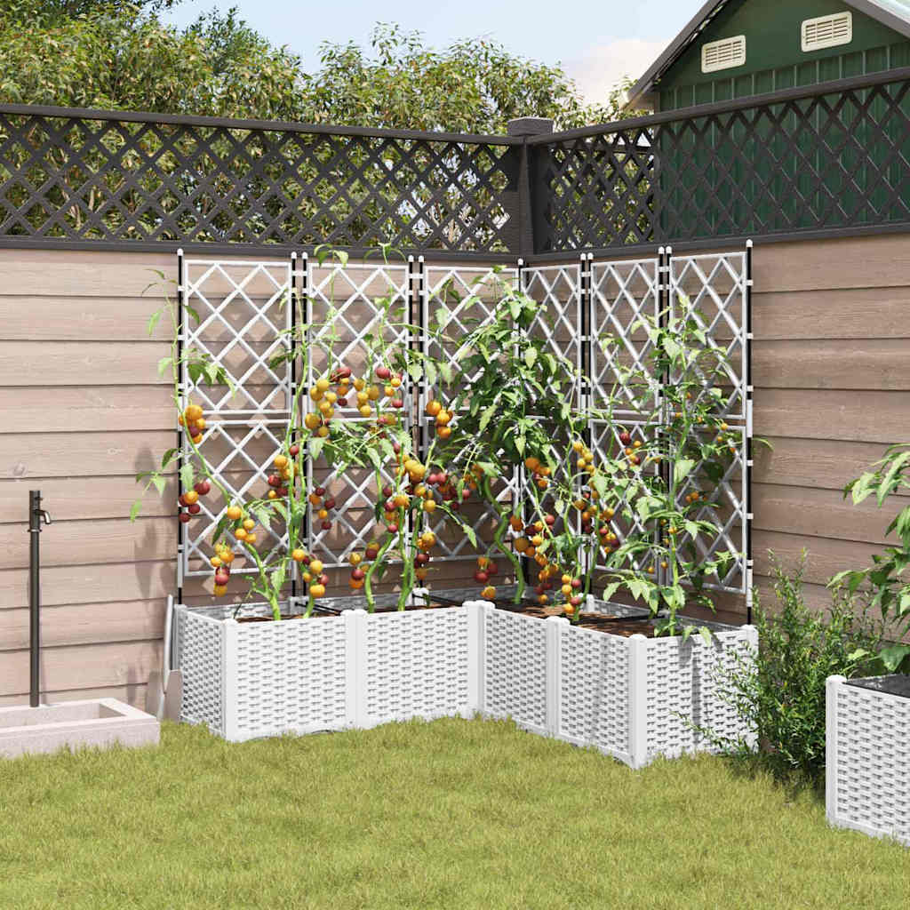 Have Blomsterkrukke 5 pcs Hvid 120 x 120 x 143 cm Plastik
