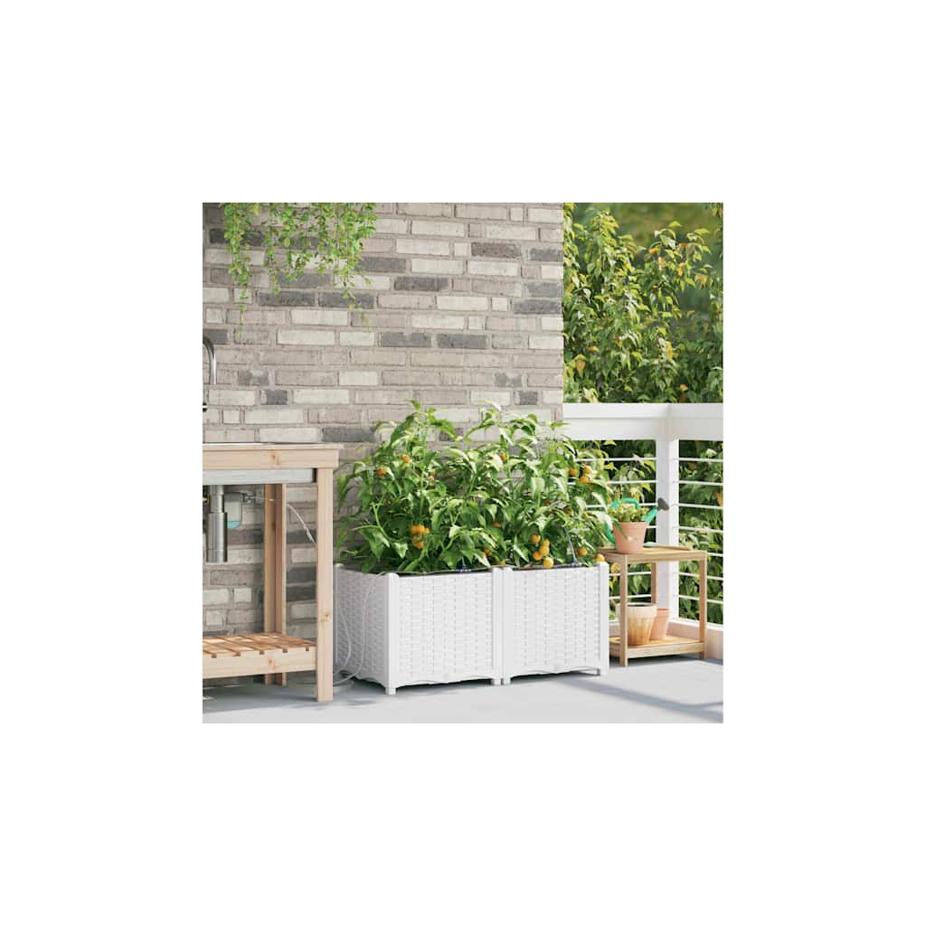 Have Blomsterkrukke 2 pcs Hvid 80 x 40 x 37,5 cm Plastik