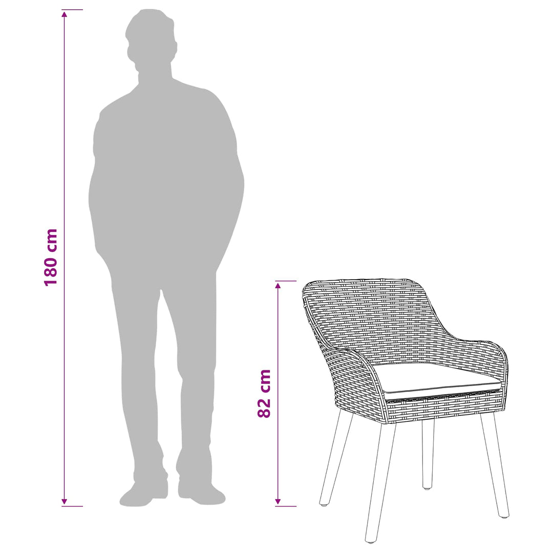 Have Stol 2 stk. Sort polyrattan