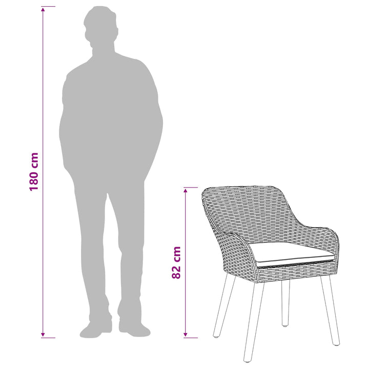 Have Stol 2 stk. Sort polyrattan
