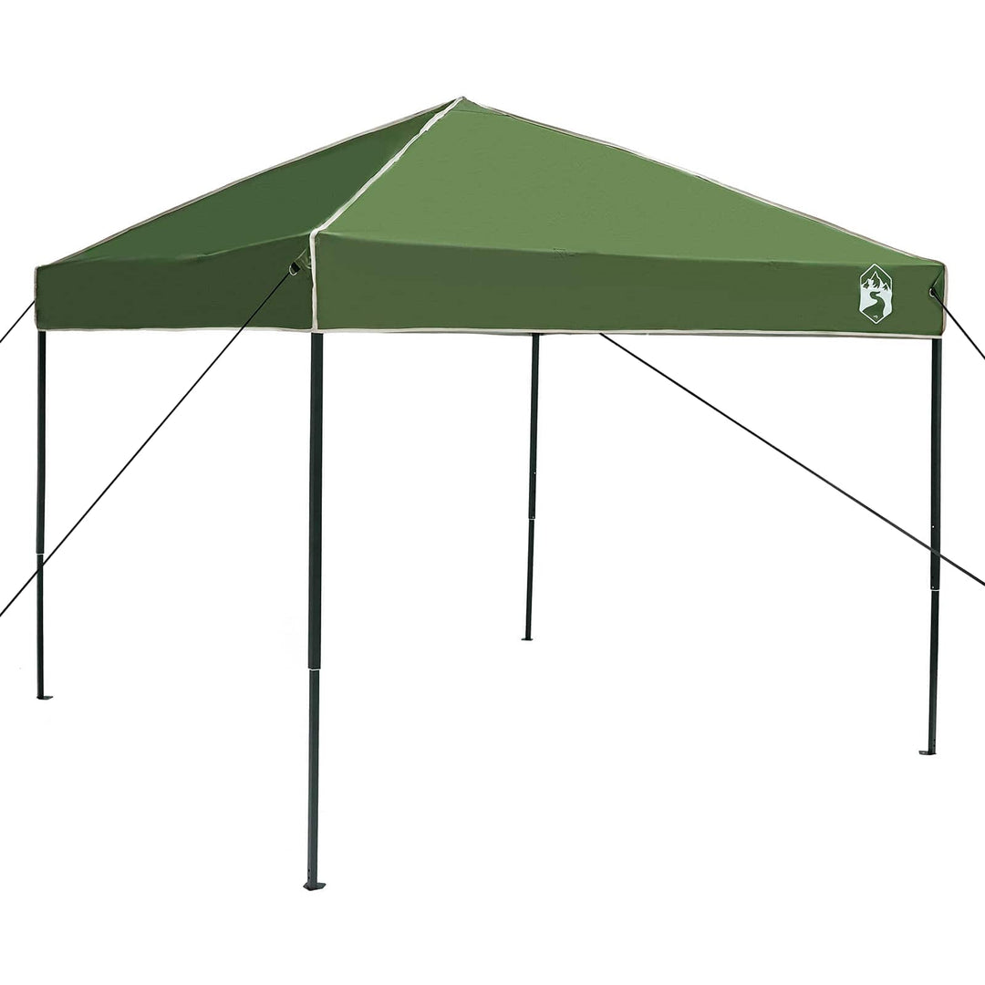 Camping Telt Sæt med tag 2 pcs Grøn Taffeta og Stof