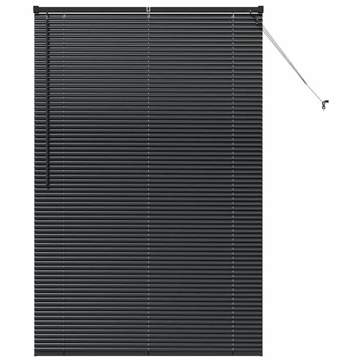 Persienner Sort 175 x 110 cm Aluminium