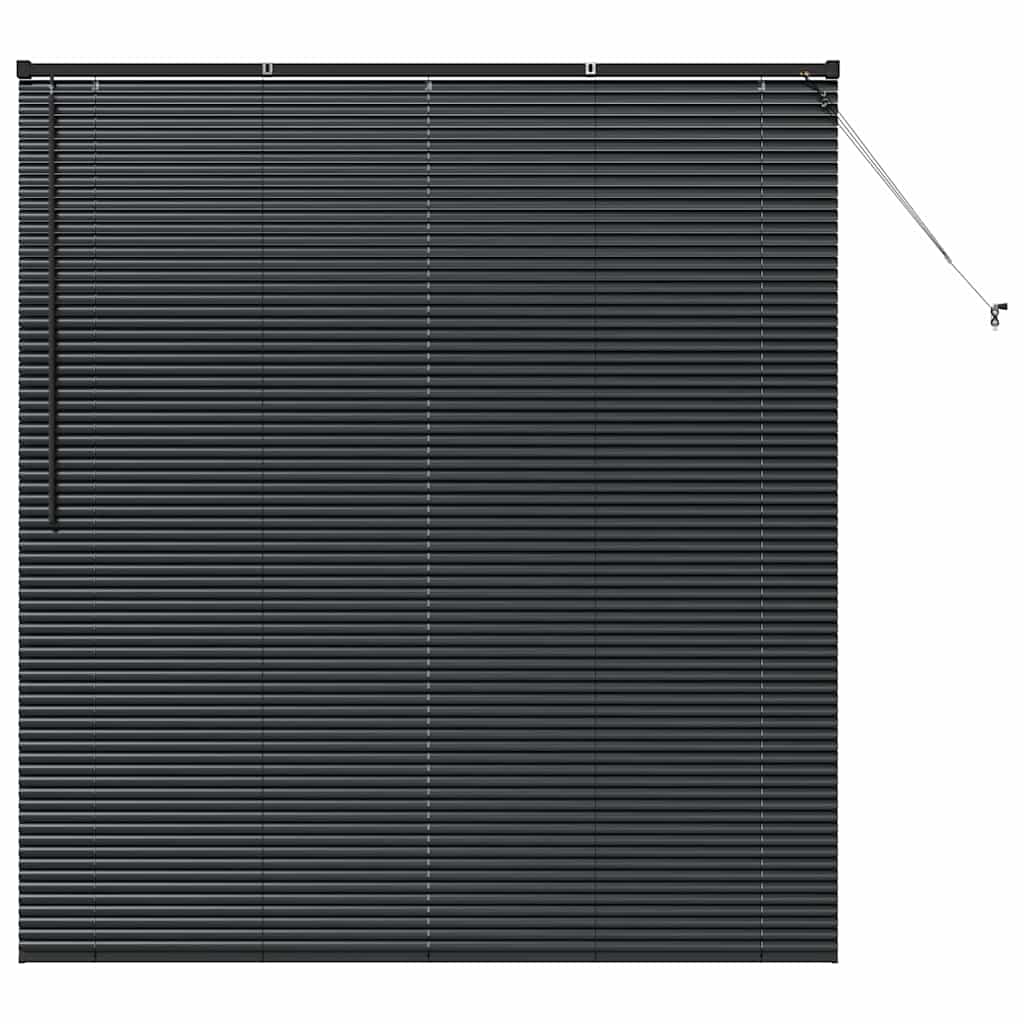 Persienner Sort 175 x 155 cm Aluminium