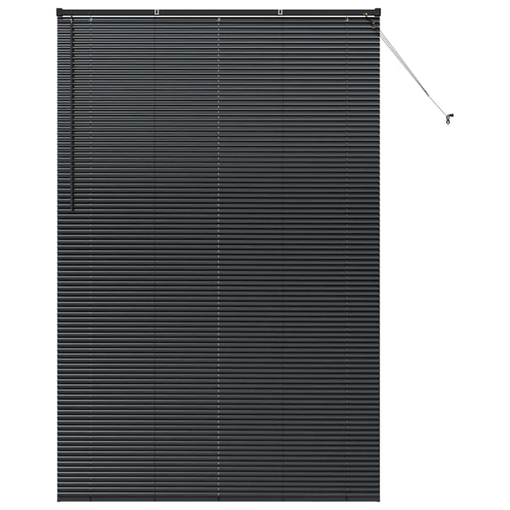 Persienner Sort 220 x 140 cm Aluminium