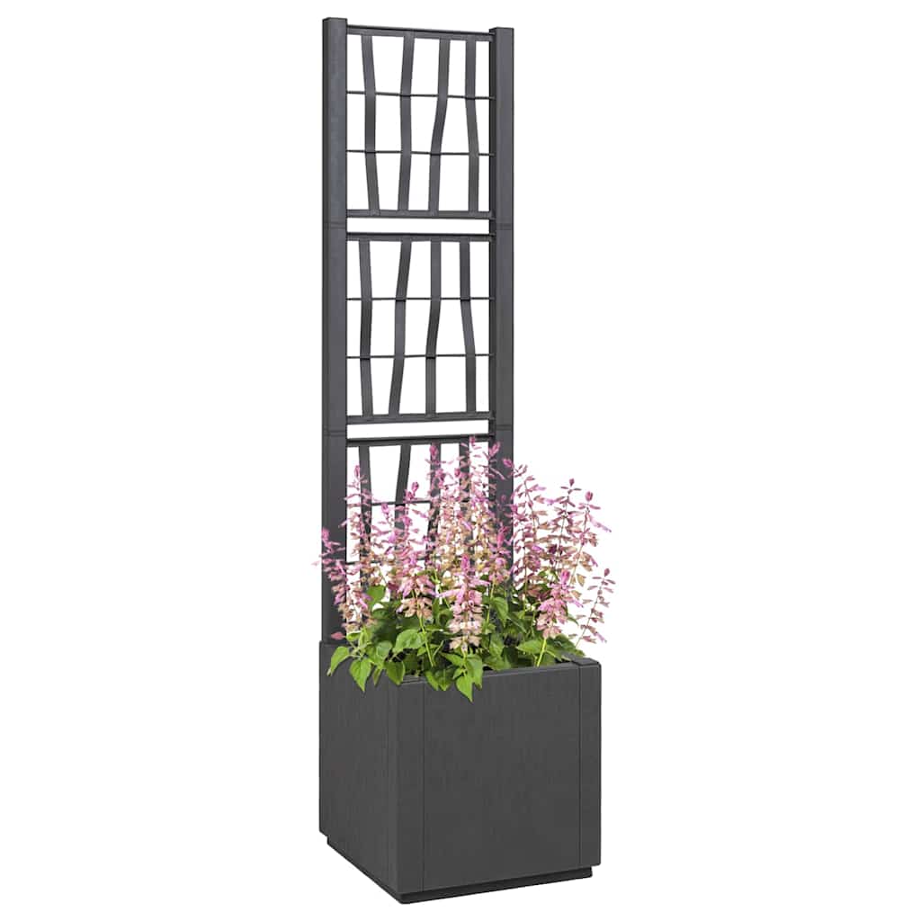 Havekrukke med trellis Mørkegrå 36 x 36 x 140 cm PP