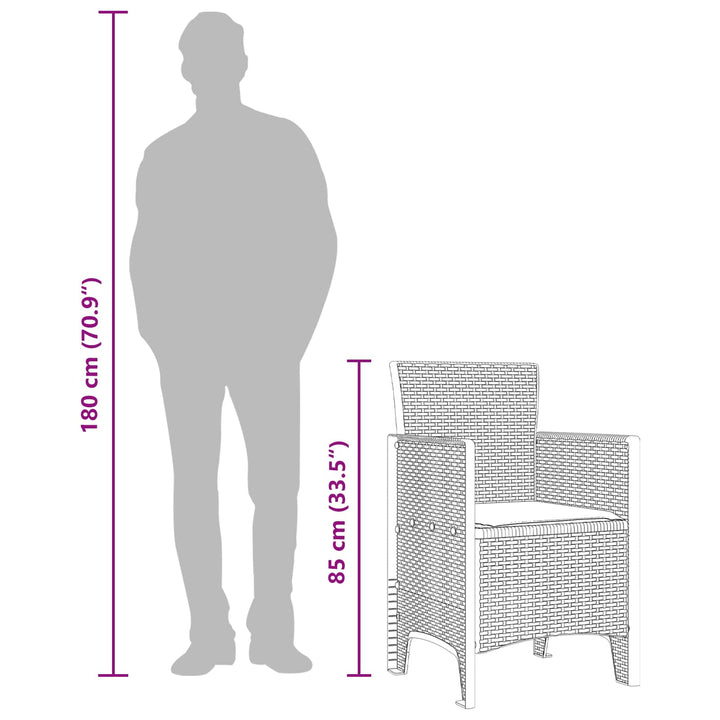 Have Stol med pude 2 pcs Antracit 53 x 49 x 85 cm Polypropylen