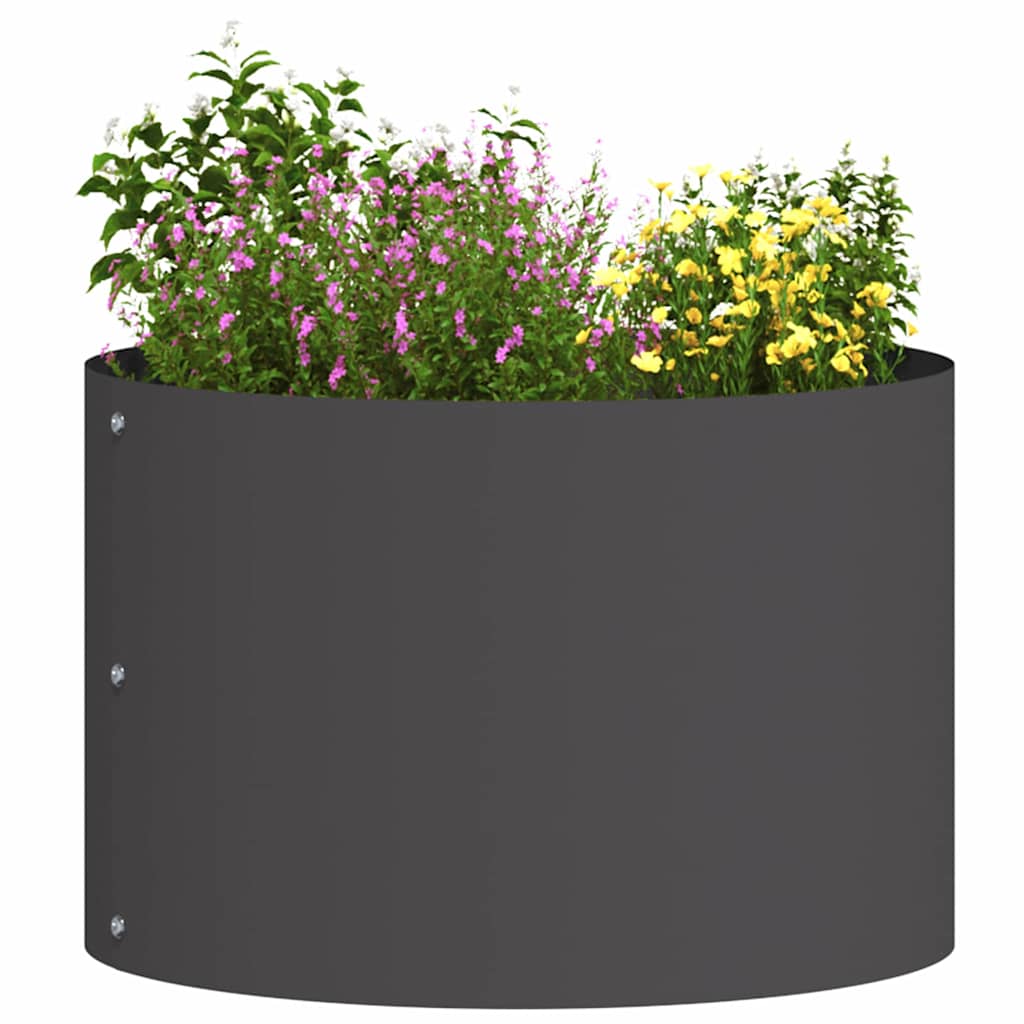 Plante ring Sort 30 x 30 x 20 cm Koldvalset stål