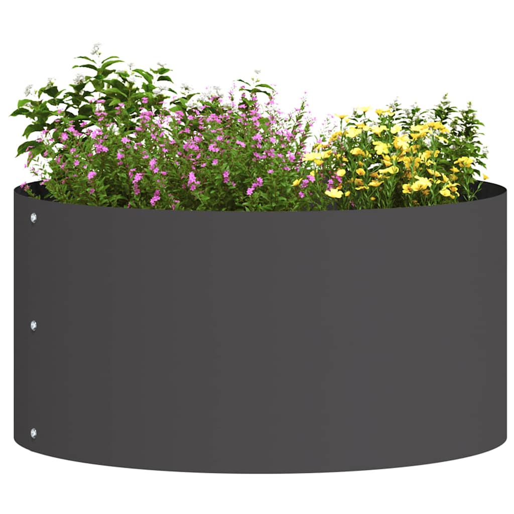 Plante ring Sort 40 x 40 x 20 cm Koldvalset stål