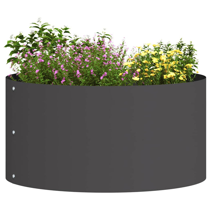 Plante ring Sort 40 x 40 x 20 cm Koldvalset stål
