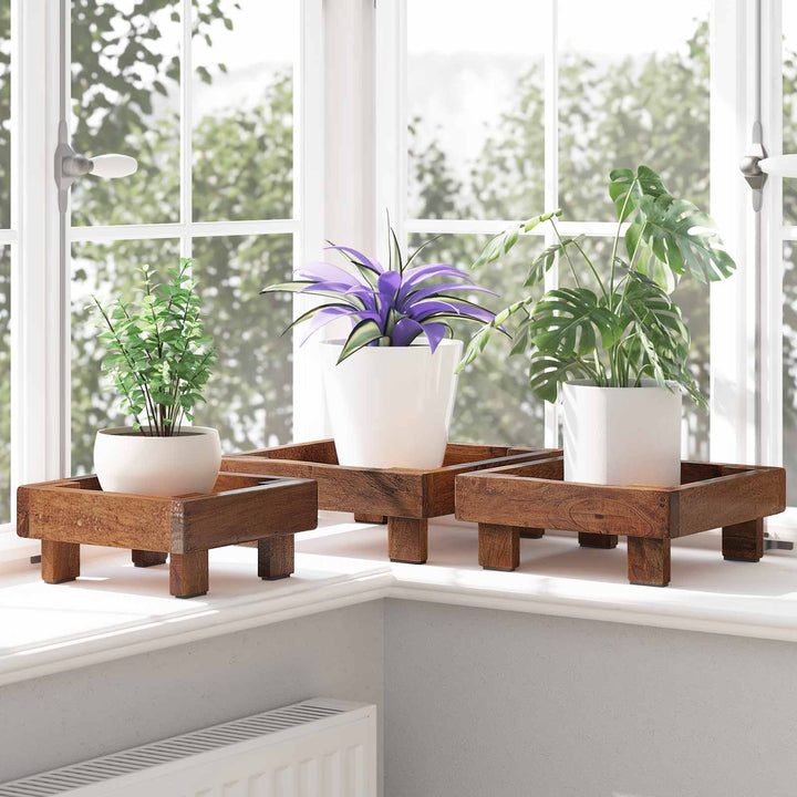 Planteholder 3 stk. Brun 35 x 35 x 12 cm Mahogni Træ