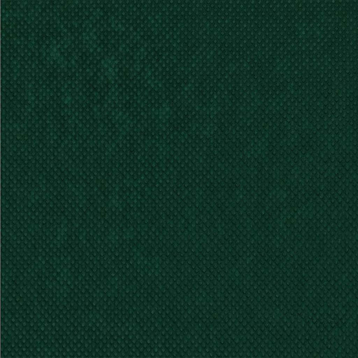 Frostbeskyttelsesplante fleece Grøn 50 x 3,2 m Non-woven stof