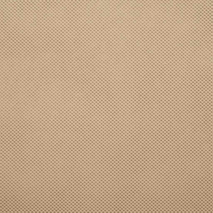 Frostbeskyttelsesplante fleece Beige 50 x 3,2 m Non-woven stof