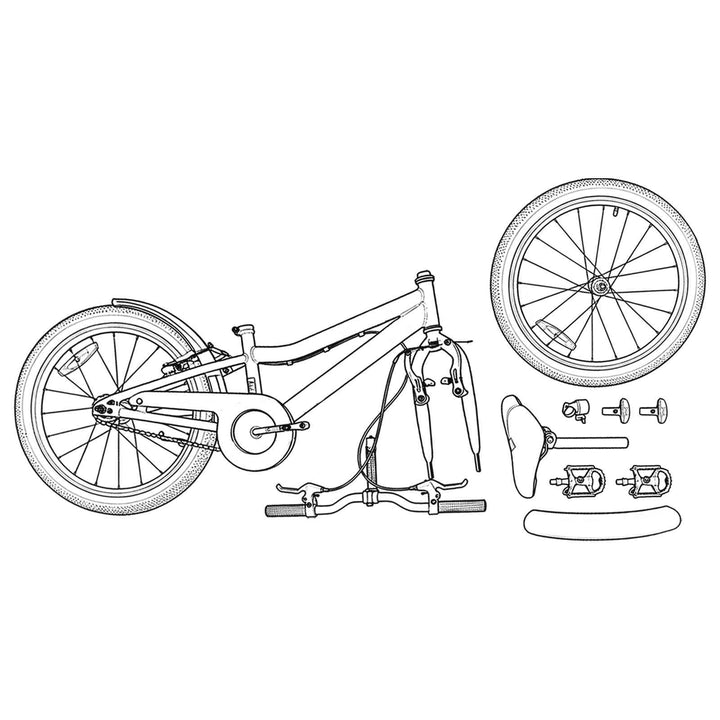 Børnecykel 22 tommer til 7-12 år gammel Rød