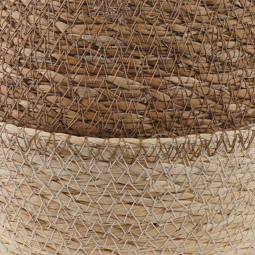 Plantekrukke med håndtag 2 pcs Hvid Ø 22 x 20 cm 100% Søgræs