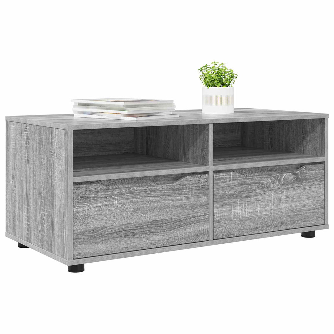 TV-skab med skuffe Grå Sonoma 100 x 48 x 43 cm Konstrueret træ
