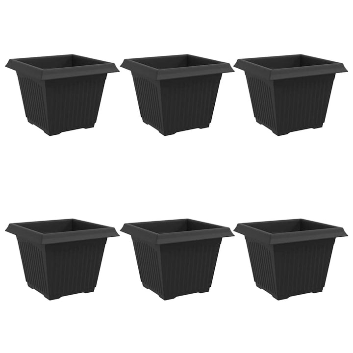 Firkantet Blomsterkrukke 6 pcs Sort 28,5 x 28,5 x 22 cm Plastik
