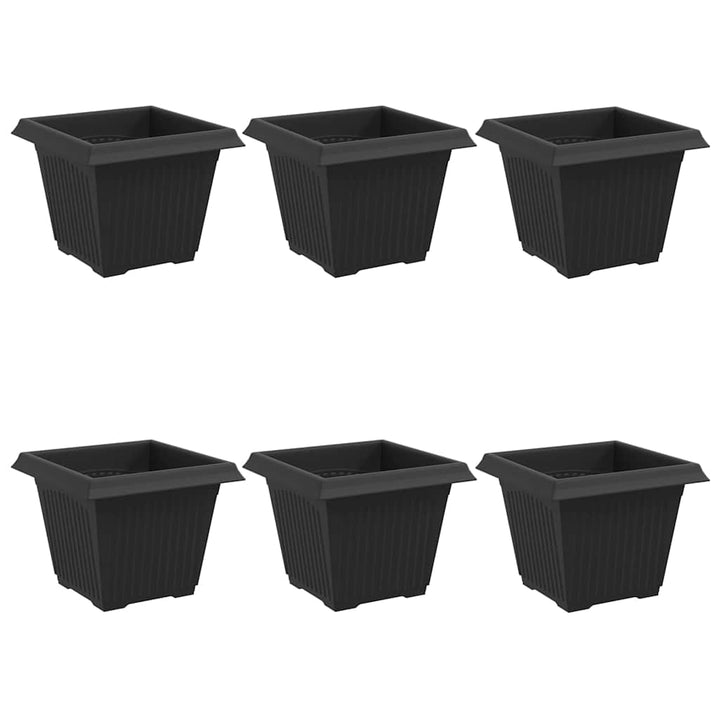 Firkantet Blomsterkrukke 6 pcs Sort 33 x 33 x 26 cm Plastik