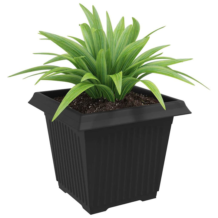 Firkantet Blomsterkrukke 6 pcs Sort 33 x 33 x 26 cm Plastik