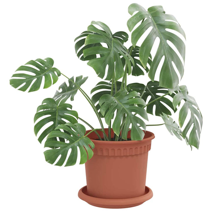 Plantepotter 24 pcs Mursten Rød Ø 15 x 12 cm Plastik