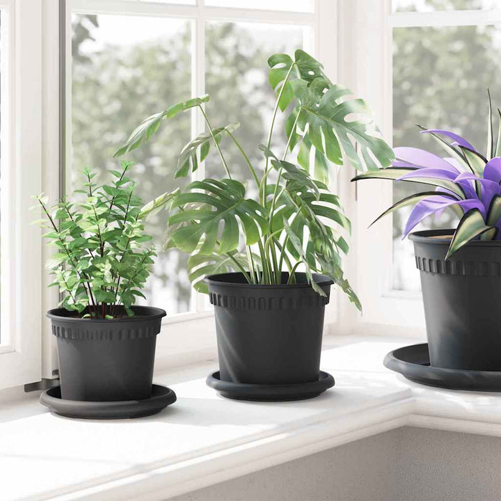 Plantepotter 24 pcs Sort Ø 15 x 12 cm Plastik