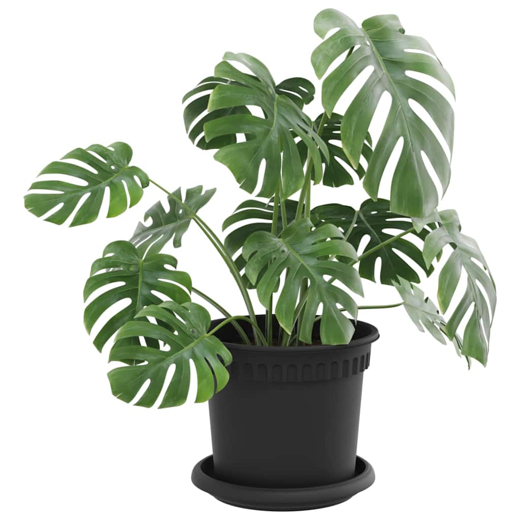 Plantepotter 24 pcs Sort Ø 15 x 12 cm Plastik
