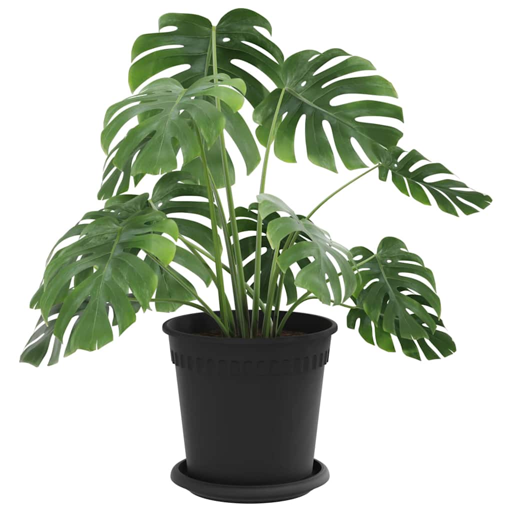 Plantepotter 24 pcs Sort Ø 17 x 14 cm Plastik