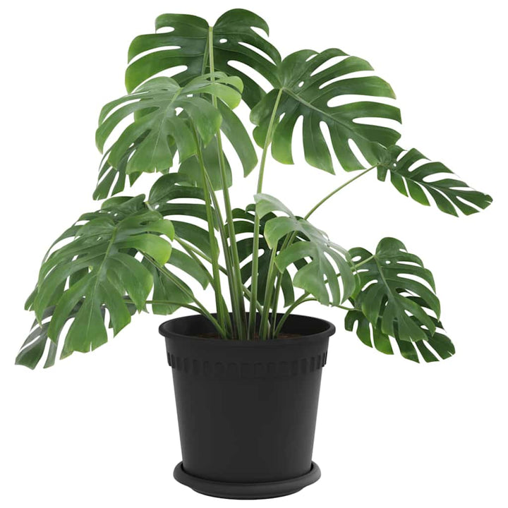 Plantepotter 24 pcs Sort Ø 19 x 16 cm Plastik