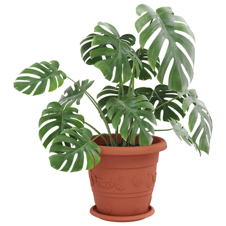 Plantepotter 24 pcs Mursten Rød Ø 26 x 21.5 cm Plastik
