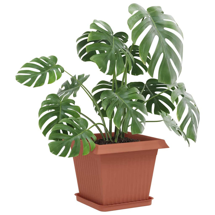 Plantepotter 6 pcs Mursten Rød 33 x 33 x 26 cm Plastik