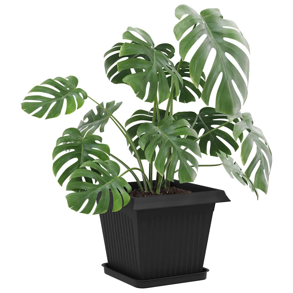 Plantepotter 6 pcs Sort 33 x 33 x 26 cm Plastik
