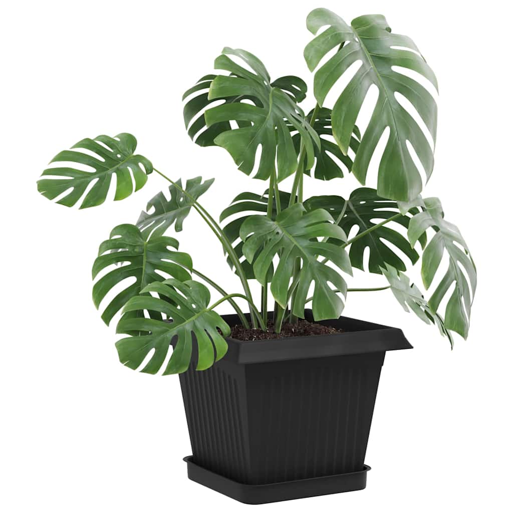 Plantepotter 24 pcs Sort 20 x 20 x 16 cm Plastik