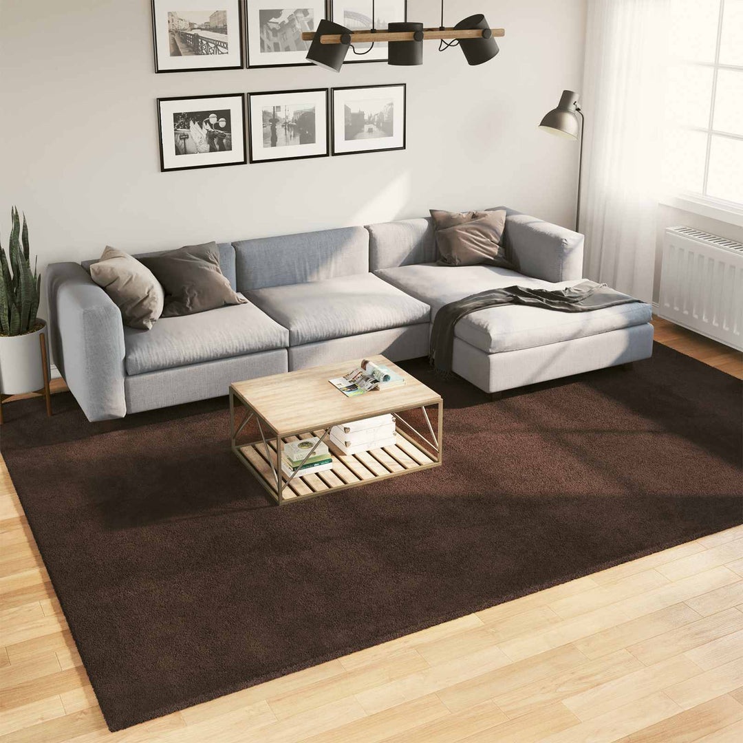 Medium luv blød og vaskbar tæppe HUARTE Brun 340 x 240 cm