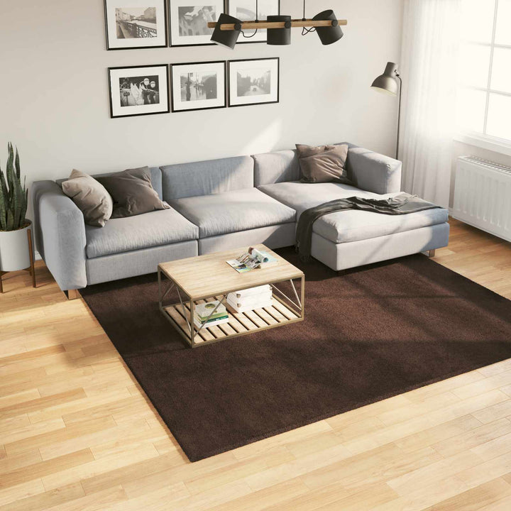 Medium luv blød og vaskbar tæppe HUARTE Brun 240 x 240 cm