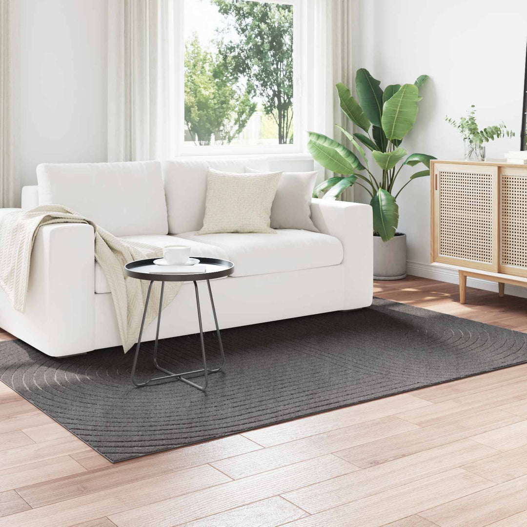 Områdetæpper PALMERAS Antracit 230 x 160 cm Polyester