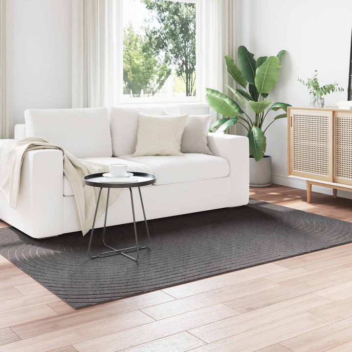 Områdetæpper PALMERAS Antracit 230 x 160 cm Polyester