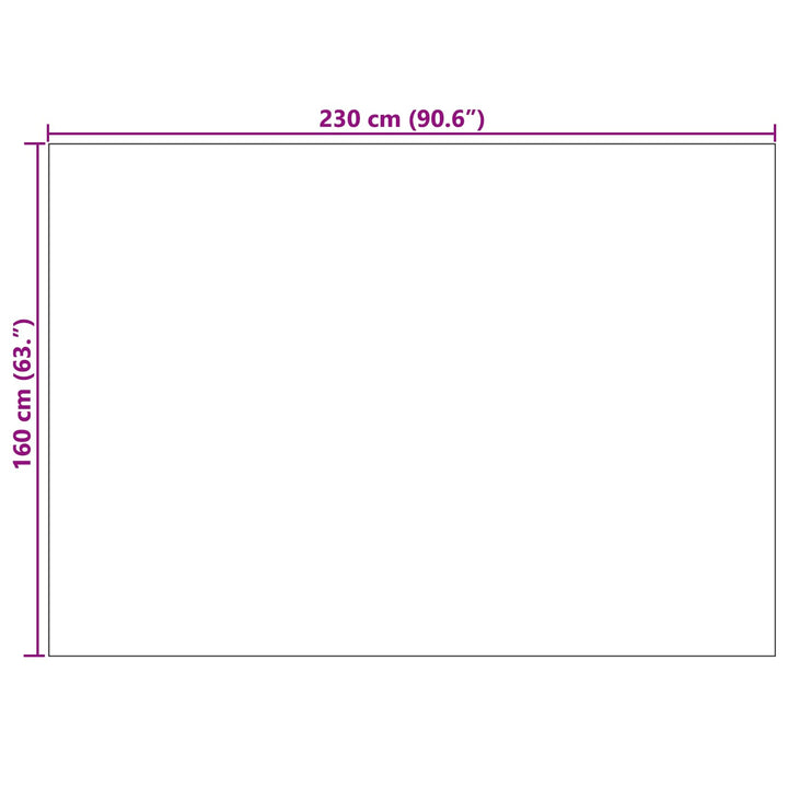 Områdetæpper PALMERAS Antracit 230 x 160 cm Polyester