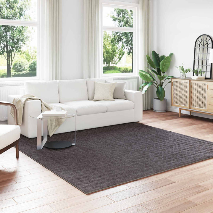 Områdetæpper Firkantet SIROLO Antracit 240 x 240 cm Polyester
