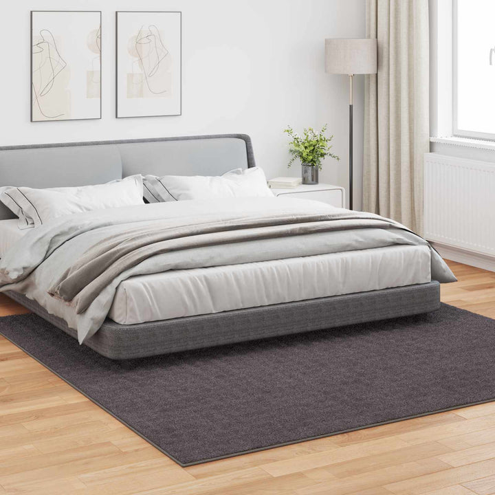 Områdetæpper Firkantet SIROLO Antracit 240 x 240 cm Polyester