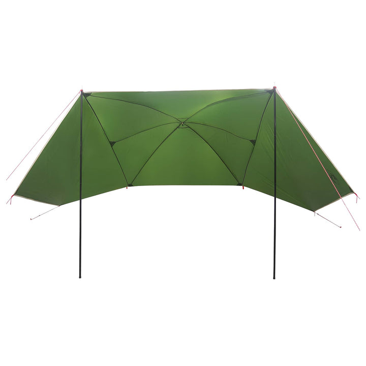 Bil Telt med tag Grøn 308 x 215 x 220 cm Polyester og Stål
