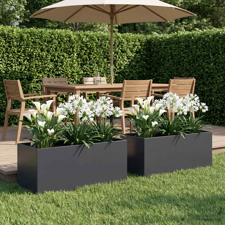 Have Blomsterkrukke 2 stk. Antracit 100 x 40 x 40 cm