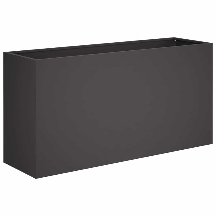 Have Blomsterkrukke Sort 100 x 30 x 40 cm Koldvalset stål