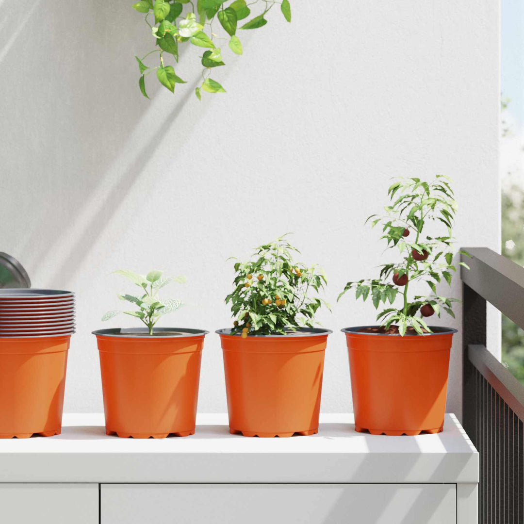 Rund Blomsterpotte 50 stk. Terrakotta Ø 15 x 13 cm Plastik