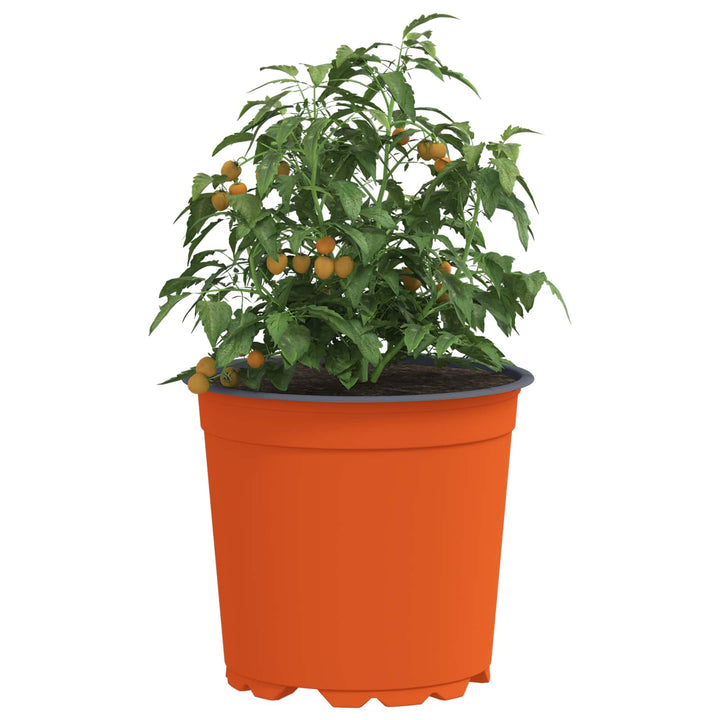 Rund Blomsterpotte 50 stk. Terrakotta Ø 15 x 13 cm Plastik