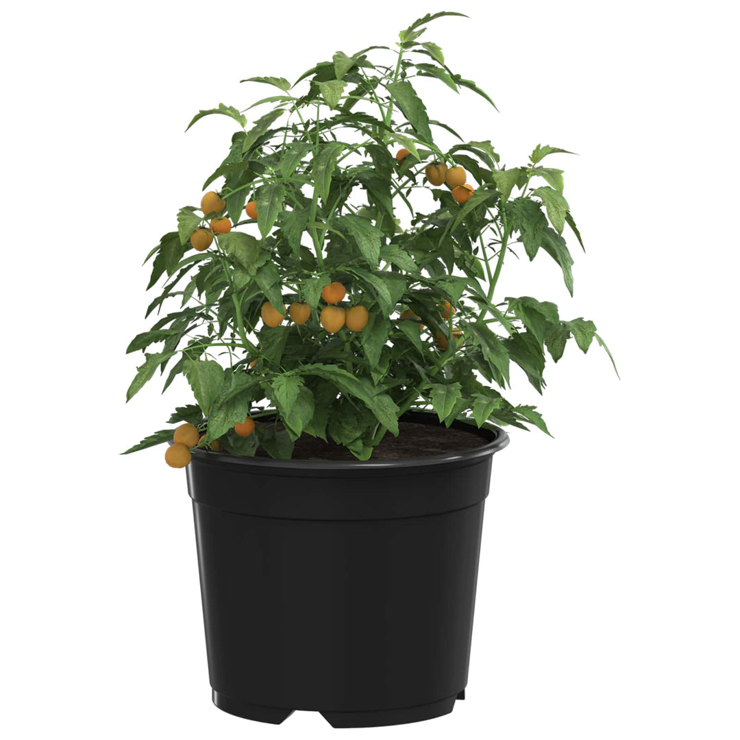 Rund Blomsterpotte 100 stk. Sort Ø 10 x 8 cm Plastik