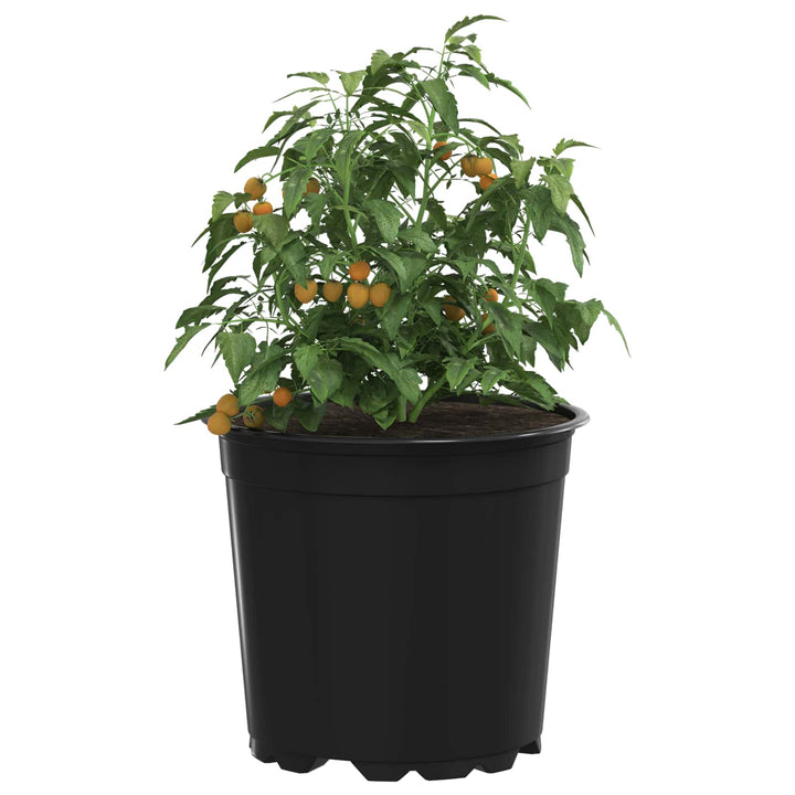 Rund Blomsterpotte 100 stk. Sort Ø 15 x 13 cm Plastik