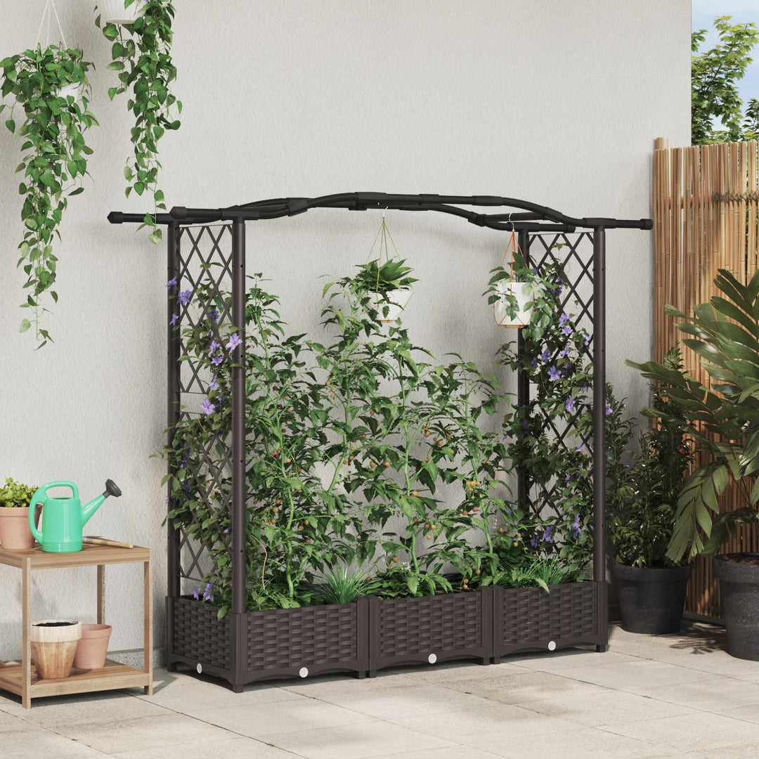Hævet Bed med Trellis og Tag Brun 169 x 40 x 125 cm PP