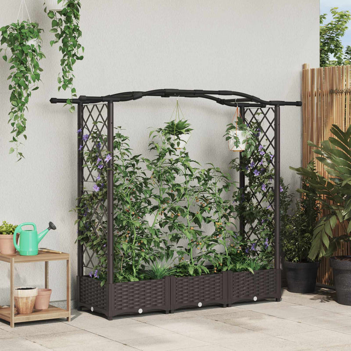 Hævet Bed med Trellis og Tag Brun 169 x 40 x 125 cm PP